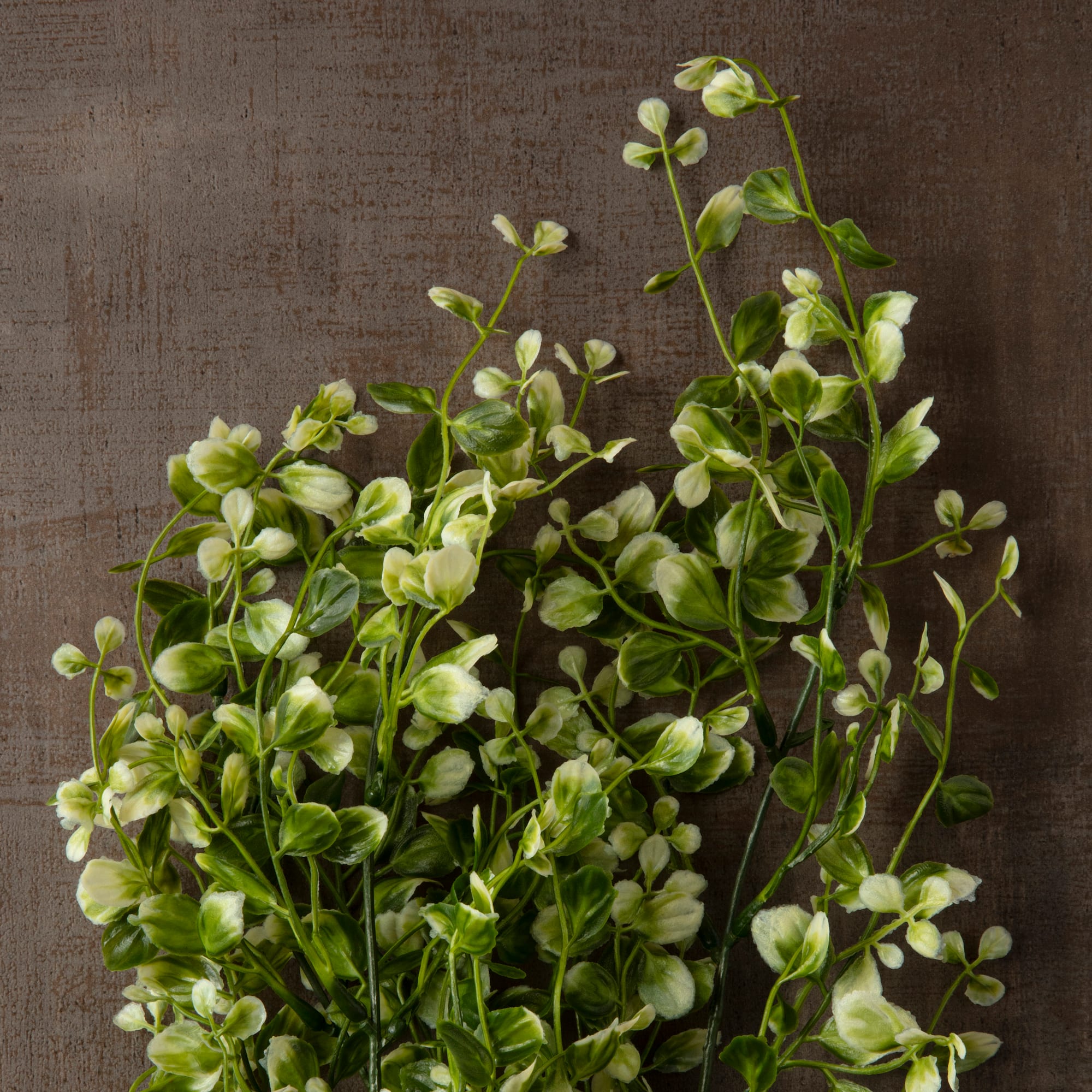 Two Toned Green Hanging Smilax Bush by Ashland®